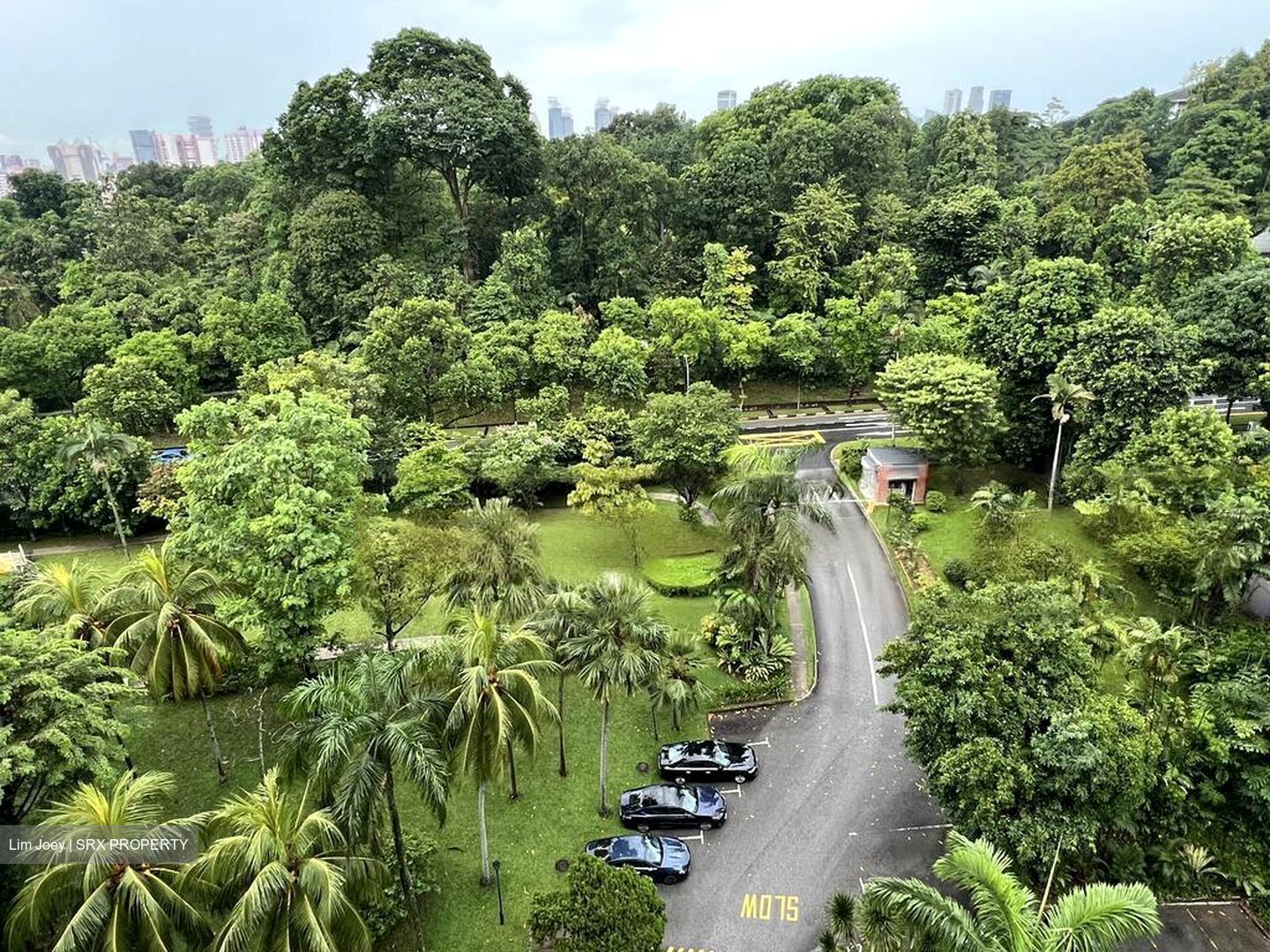 Cavenagh Court (D9), Apartment #463470011